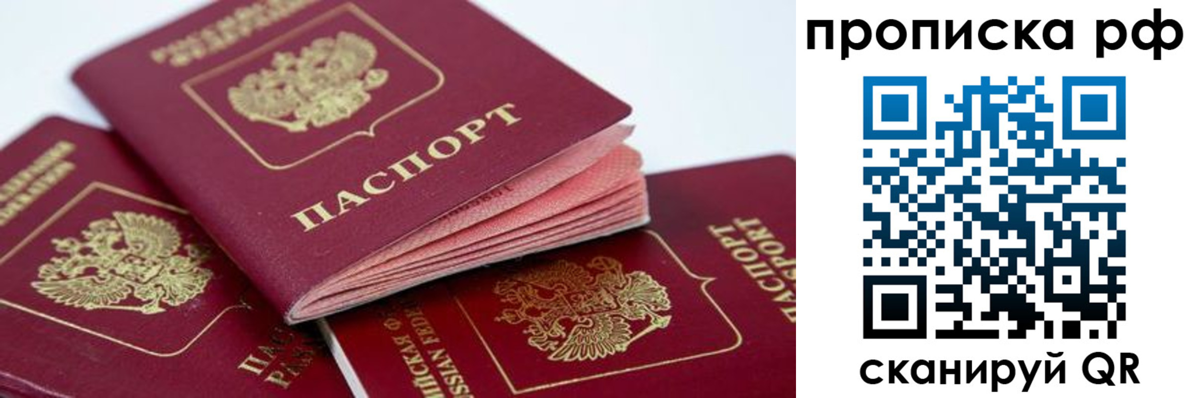 прописка в квартире в Брянске
